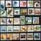 Colombes Philatélie-Comment débuter une collection de timbres.