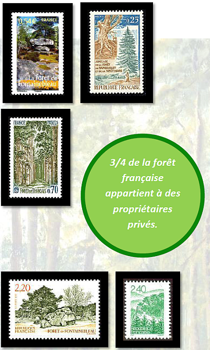 http://www.multicollection.fr/IMG/bmp/foret-francaise-timbres.bmp