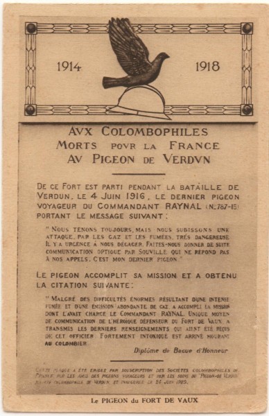 Carte postale aux colombophiles morts pour la france.