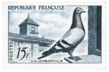 Timbre la Colombophilie.