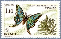 Timbre sur le papillon isabella.