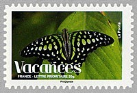 Timbre papillon vacances 2008.