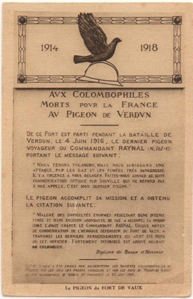 Carte postale aux colombophiles morts pour la france.