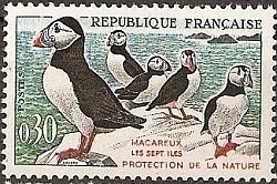 Timbre série Oiseaux - Le macareux.