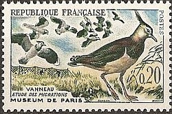 Timbre série Oiseaux - Le vanneau.