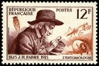 Timbre de France de 1956 de jean Henri Fabre naturaliste et entomologiste Français se servant d'une loupe.
