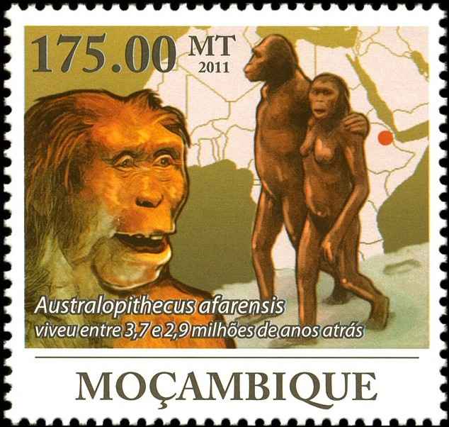 Timbre - Australopithecus Afarensis.