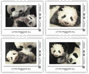 Timbre - Yuan Meng le bébé panda du ZooParc de Beauval.